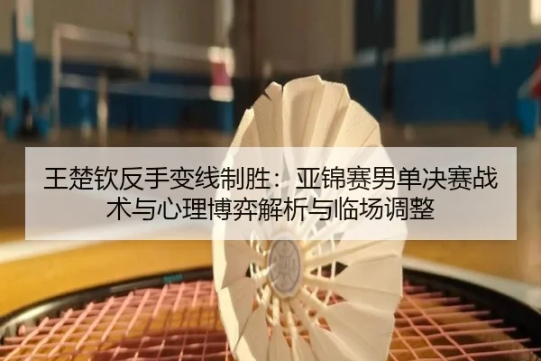 王楚钦反手变线制胜：亚锦赛男单决赛战术与心理博弈解析与临场调整