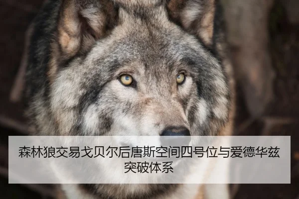 森林狼交易戈贝尔后唐斯空间四号位与爱德华兹突破体系