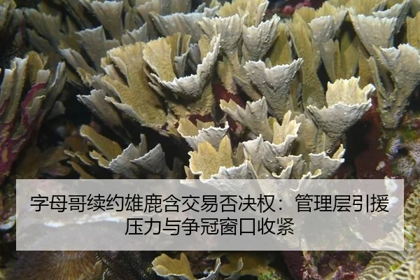 zi-mu-ge-xu-yue-xiong-lu-han-jiao-yi-fou-jue-quan-guan-li-ceng-yin-yuan-ya-li-yu-zheng-guan-chuang-kou-shou-jin-2-621.jpg